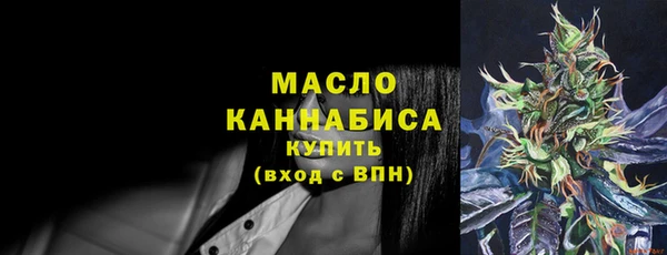 сатива Коряжма