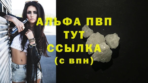 apvp Аркадак