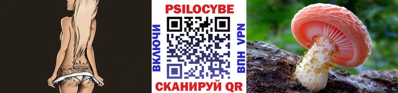 купить   Сасово  Галлюциногенные грибы Magic Shrooms 